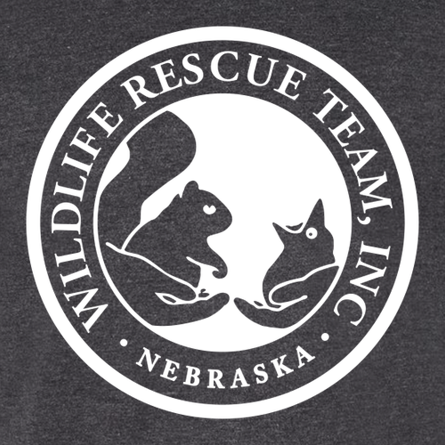 Gildan Softstyle CVC Tee -- Pitch Black Mist