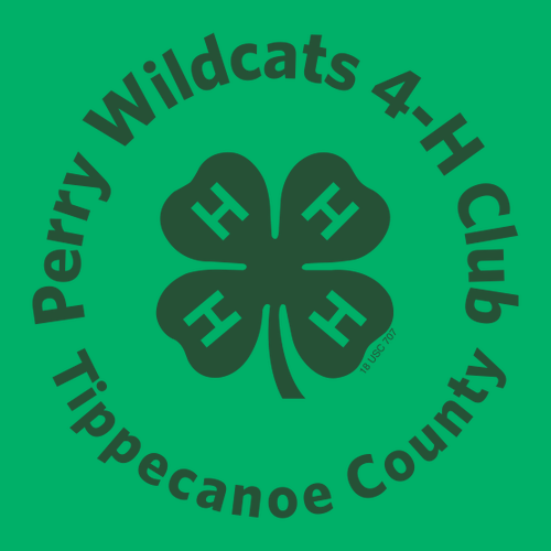 Gildan Heavy Cotton Basic Youth T-Shirt -- Irish Green