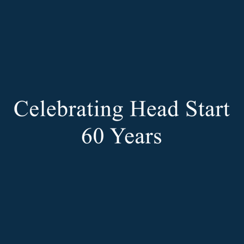 Gildan Ultra Cotton Basic T-Shirt -- Navy