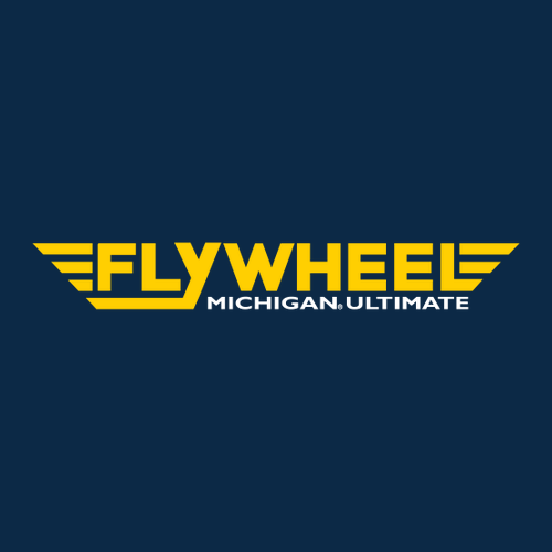 Mens/Unisex Flywheel Gildan Heavy Cotton Basic T-Shirt -- Navy