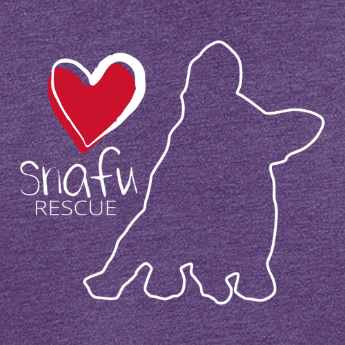 District Womens Perfect Tri Tee -- Purple Frost