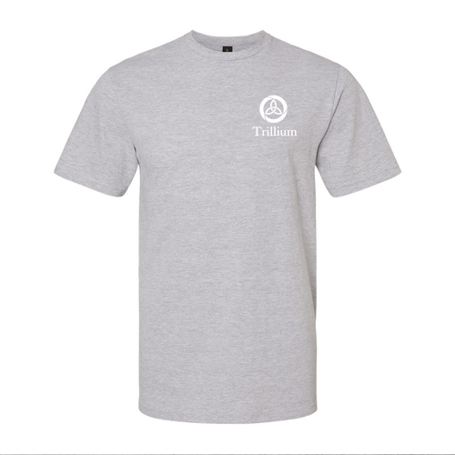 GIldan Softstyle Midweight T-Shirt -- Sport Grey