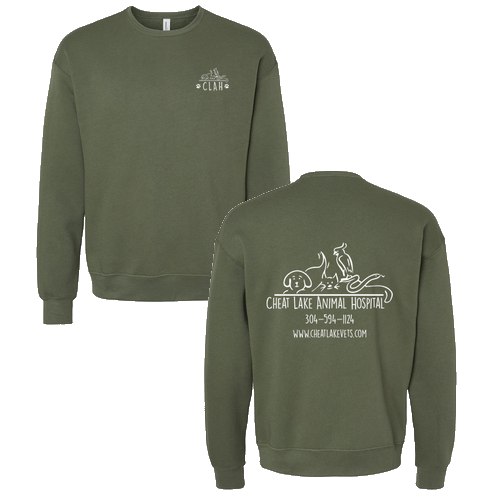 Bella Canvas Unisex Drop Shoulder Fleece Crewneck -- Military Green