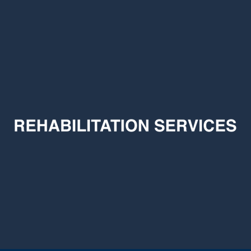 Gildan Heavy Cotton Basic T-Shirt -- Navy