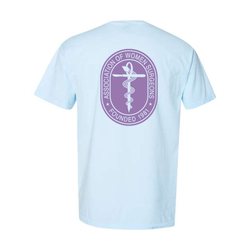 Hanes Comfortwash Adult Garment Dyed Pocket Tee -- Soothing Blue