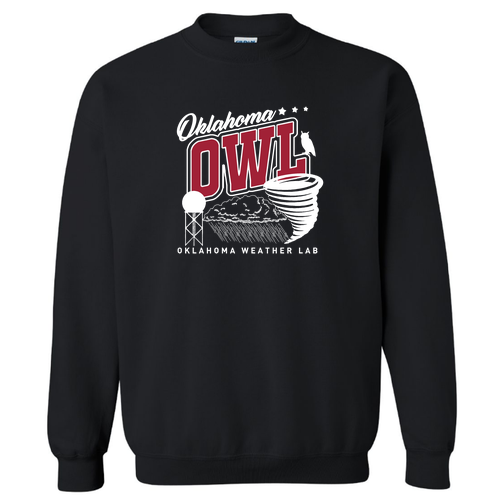 Gildan Heavy Blend Crew Neck Sweatshirt -- Black