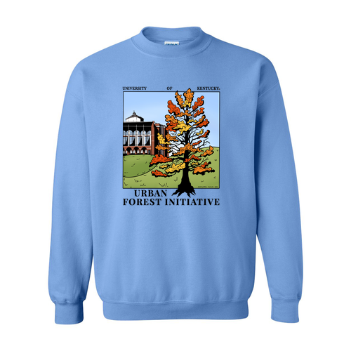 Gildan Heavy Blend Crew Neck Sweatshirt -- Carolina Blue