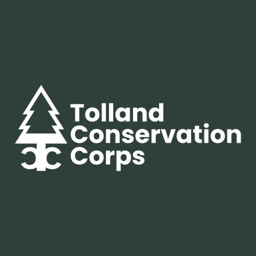 Fleece Jacket -- Forest Green