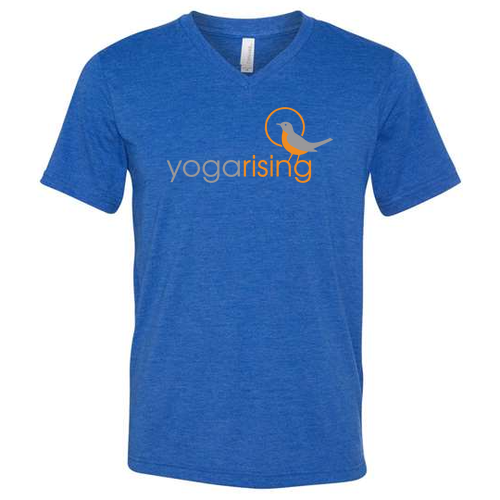 Tri-blend Short-Sleeve V-Neck T-Shirt -- True Royal TriBlend