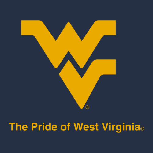 Gildan Heavy Blend Hooded Sweatshirt -- Navy