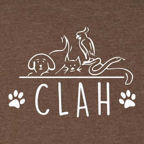 Bella+Canvas Unisex Heather Cvc Long Sleeve Tee- Heathers -- Heather Brown