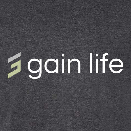 Gildan Softstyle CVC T-Shirt -- Pitch Black Mist