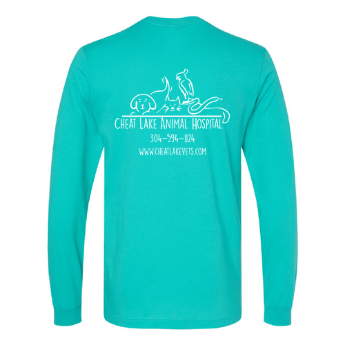 Bella Canvas Unisex Jersey Longsleeve Tee -- Teal