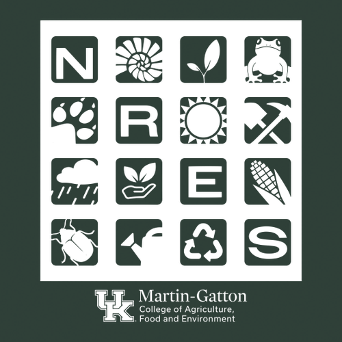 Gildan Heavy Blend Crew Neck Sweatshirt -- Forest Green