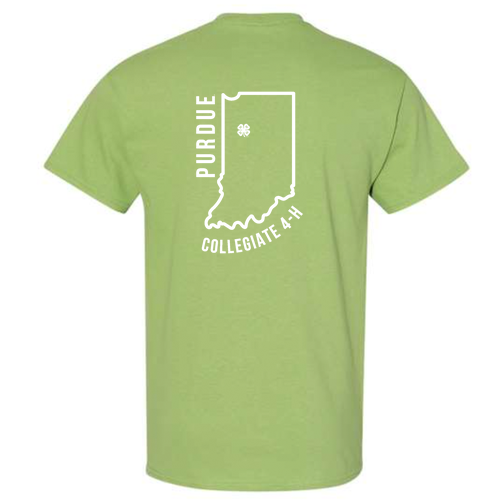 Heavy Cotton T-Shirt -- Kiwi