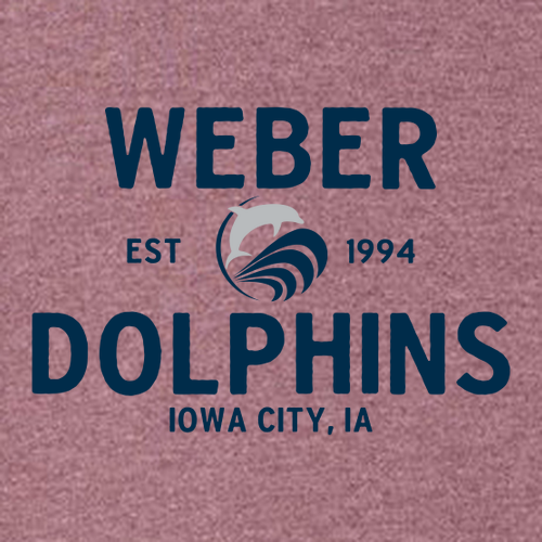 Gildan Heavy Blend Hooded Sweatshirt -- Heather Sport Dark Maroon