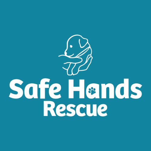 District Made Ladies Perfect Tri V-Neck Tee -- Turquoise Frost