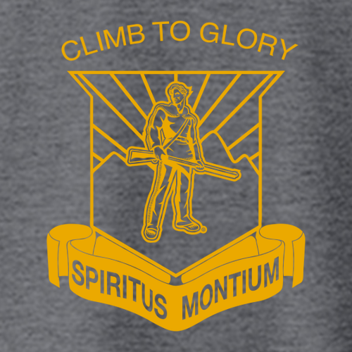 Gildan Heavy Blend Hooded Sweatshirt -- Dark Heather