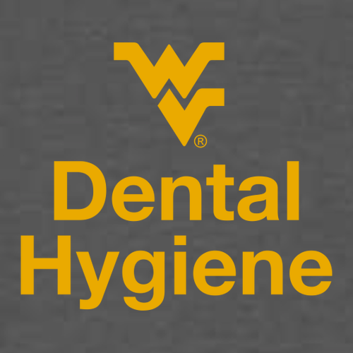 Gildan SoftStyle Fitted T-Shirt -- Charcoal