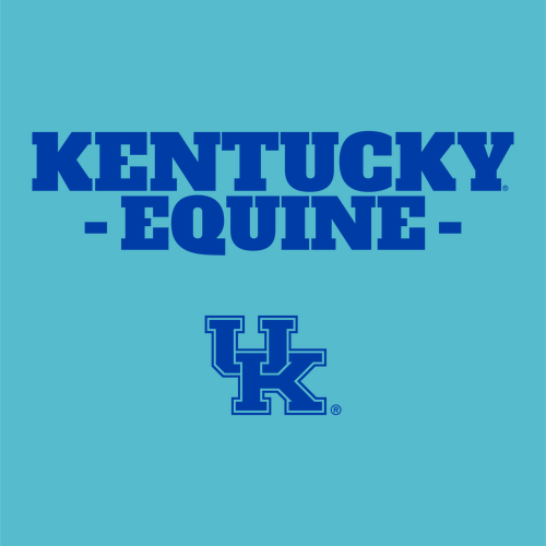 Comfort Colors Crewneck Sweatshirt -- Lagoon