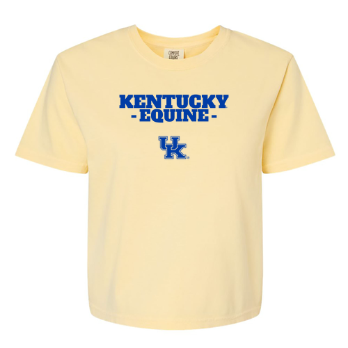 Comfort Color Lady's Heavyweight Boxy Tee -- Butter