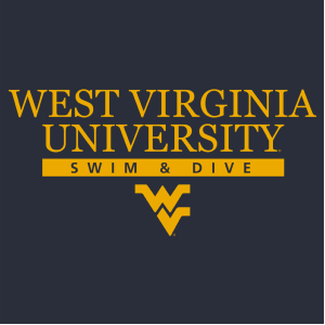 Ladies Sport Tek Ladies Sport Wick Stretch Half Zip Pullover -- True Navy