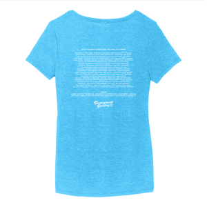 Ladies District Made Ladies Perfect Tri V-Neck Tee -- Turquoise Frost