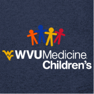 Ladies Charles River Womens Heathered Fleece Pullover -- Navy Heather