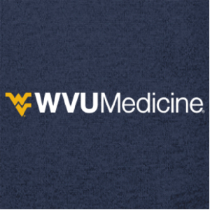 Men/Unisex Charles River Mens Heathered Fleece Pullover -- Navy Heather