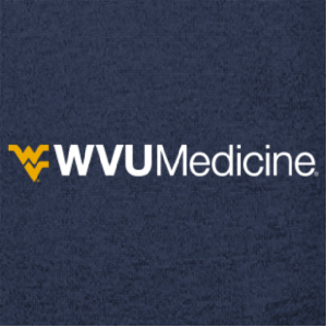 Men/Unisex Charles River Mens Heathered Fleece Pullover -- Navy Heather