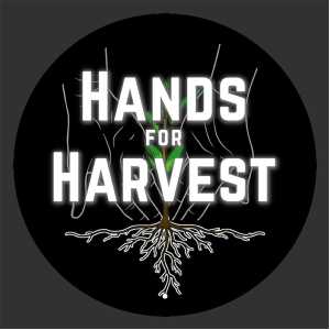 Ladies District Womens Perfect Tri Tee -- Black