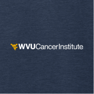 Ladies Port Authority Core Soft Shell Jacket -- Dress Blue Navy