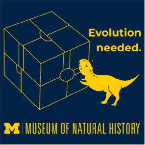 Men/Unisex Gildan Heavy Cotton Basic T-Shirt -- Navy