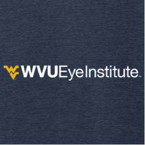 Ladies Port Authority Ladies Core Soft Shell Jacket -- Dress Blue Navy