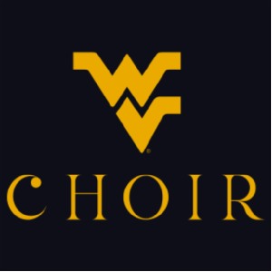 Ladies Cotton Heritage Women's V-Neck T-Shirt -- Navy Blazer