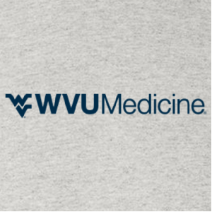 Ladies Gildan Heavy Cotton Missy Fit Tee -- Ash