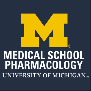 Ladies Port Authority Silk Touch Sport Shirt. -- Navy