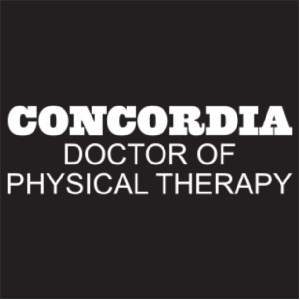 Ladies Port Authority Ladies Collective Insulated Vest -- Deep Black