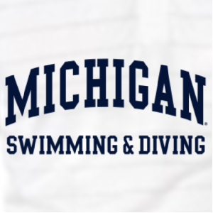 Ladies District Made Soft Perfect Weight V-Neck Tee -- Bright White