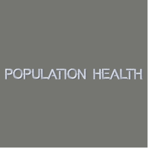 Ladies Port Authority Ladies Core Soft Shell Jacket -- Deep Smoke