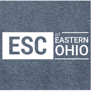 District Made Ladies Perfect Tri Long Sleeve Tunic -- Navy Frost