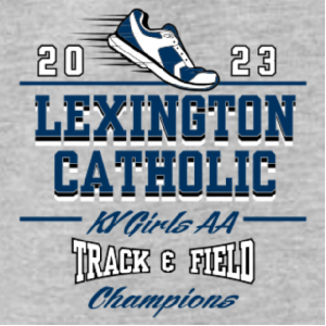 Ladies Gildan Ladies Fashion Fit T-Shirt -- Sport Grey