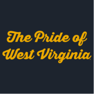 Men/Unisex Gildan Heavy Blend Crew Neck Sweatshirt -- Navy