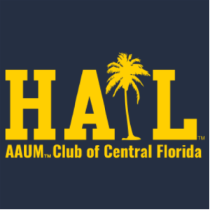 Ladies Bella Canvas Soft Fitted Short Sleeve V-Neck T-Shirt -- Navy