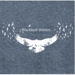 Ladies District Made Ladies Perfect Tri V-Neck Tee -- Navy Frost