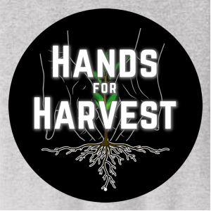 Ladies District Womens Perfect Tri Tee -- Heathered Grey