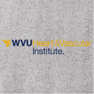 Ladies Port Authority Ladies Sweater Fleece Vest -- Grey Heather