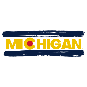 Men/Unisex Champion Baseball Shirt -- White/ Navy