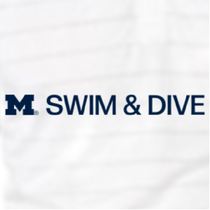 Ladies District Made Soft Perfect Weight V-Neck Tee -- Bright White