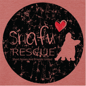 Ladies District Made Perfect Tri Rocker Tank -- Blush Frost